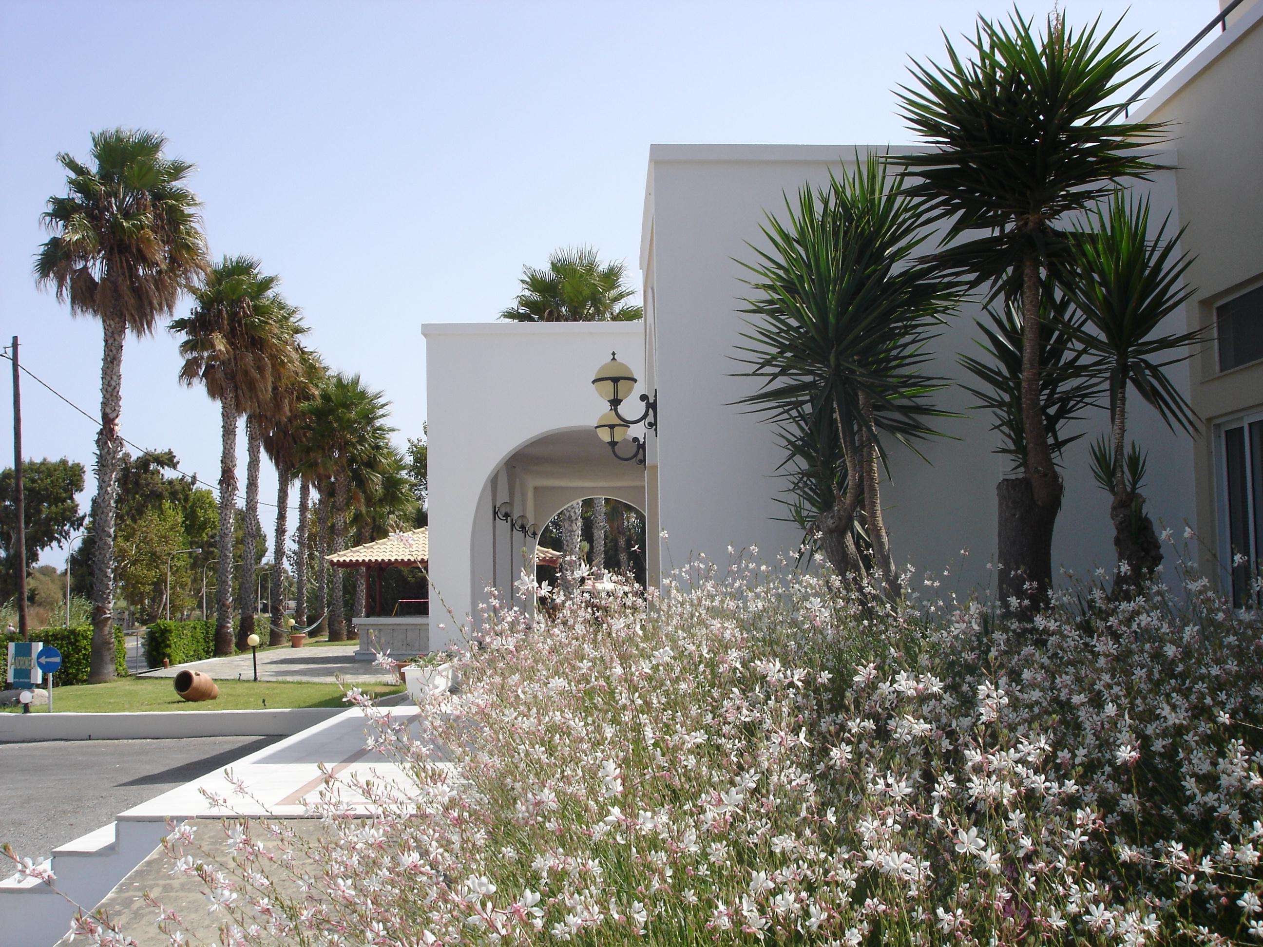 Andromeda Hotel Apartments Psalidi  Exterior photo