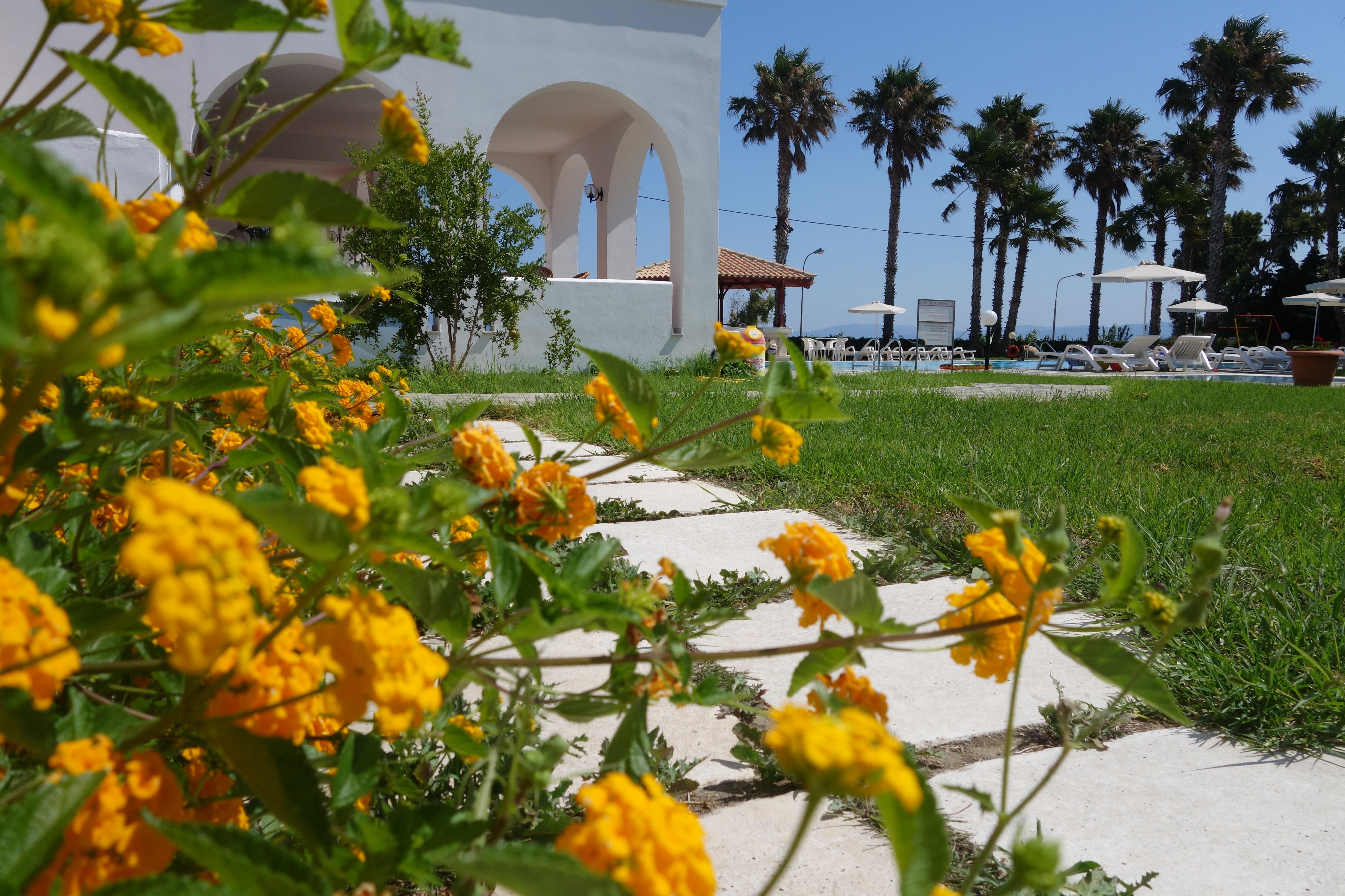 Andromeda Hotel Apartments Psalidi  Exterior photo